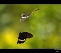 /album/idezetek/a3442943079-ae643cbf1d-jpg/