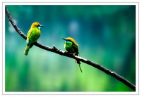 /album/idezetek/a3230179037-4e383cc990-jpg/